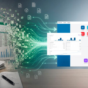 Evolução de planilhas em Excel para o ERP.
